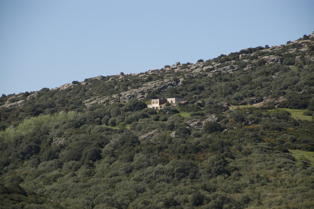Campi Elisi B&B Σάσαρι Εξωτερικό φωτογραφία