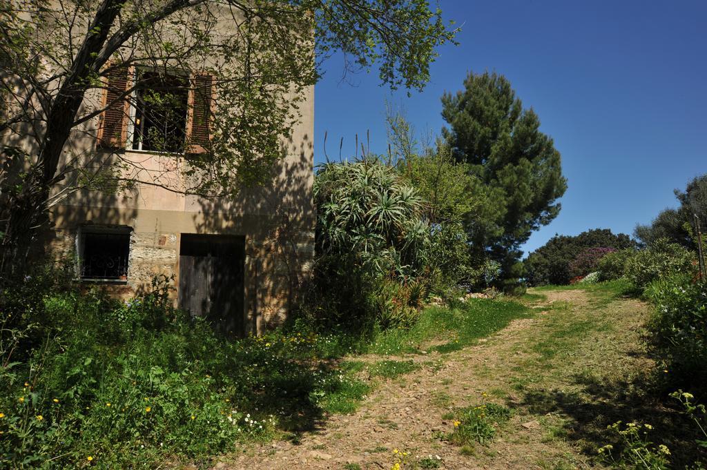 Campi Elisi B&B Σάσαρι Εξωτερικό φωτογραφία